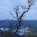 写真: 能登半島　最北端から　日本海