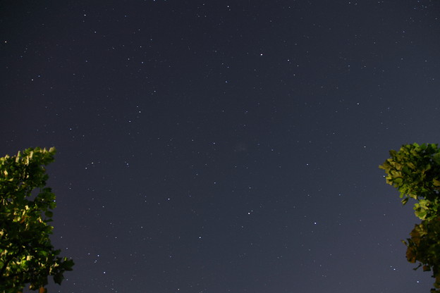 写真: 昨晩の星空(南）30秒　自宅から