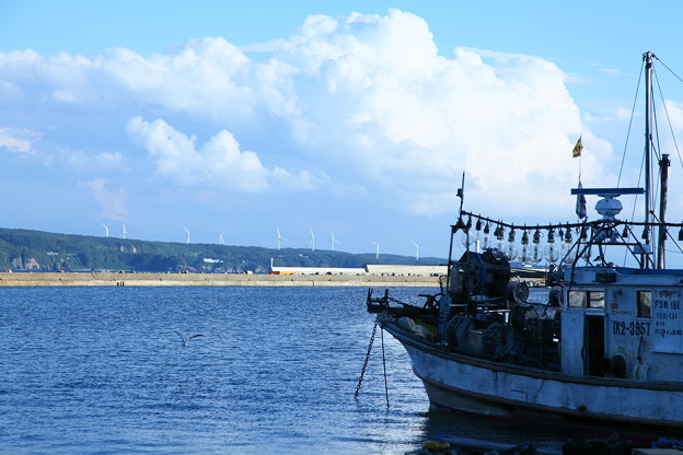 写真: 休日のイカ釣り漁船と風車