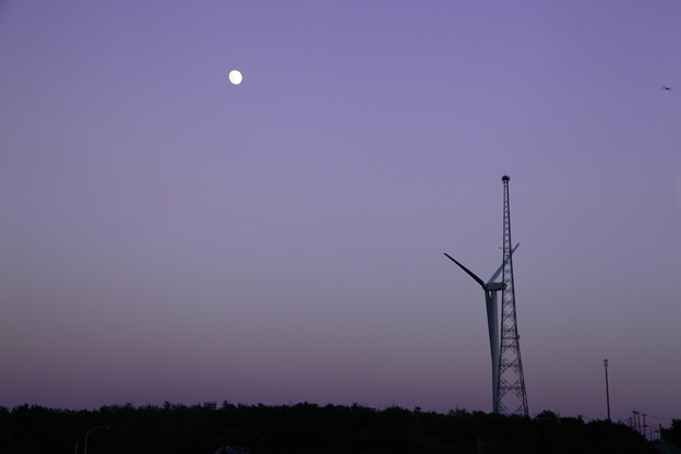 写真: 月と風車