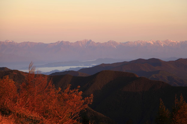 写真: 朝日に染まった後立山連峰と紅葉　　美ヶ原から