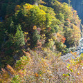 写真: 白山スーパー林道　岩底の滝
