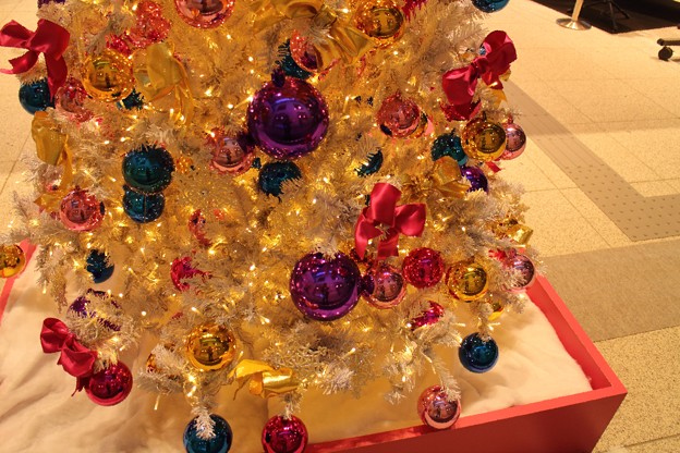 写真: クリスマスツリー(3)　　しいのき迎賓館