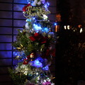 写真: わが家のクリスマスツリー　　LED　ソーラーイルミ