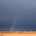 写真: 田んぼの草原に　虹(1)
