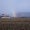 写真: 昨日の虹（右）