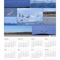 白山とコハクチョウ　カレンダー