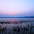 写真: 夜明けの河北潟