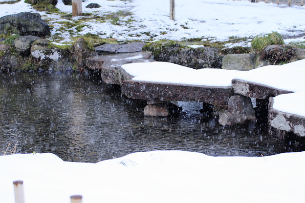 写真: 雁行橋 　雪が降る