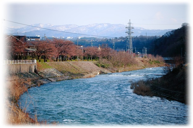 写真: 春の浅野川と山並み