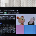 写真: NHK E テレ画面