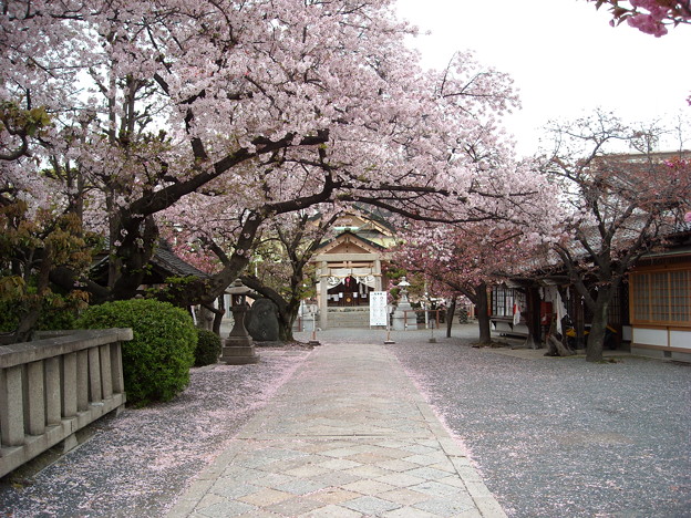 写真: 桜宮神社