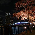 写真: 秋の銀橋