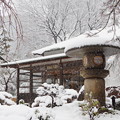 写真: 雪灯籠と日本家屋と