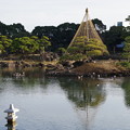 写真: 江戸最古の大名庭園