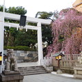 写真: 乃木神社