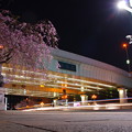 写真: 夜道、桜色が抜ける