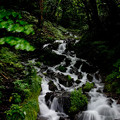 写真: 強清水の滝