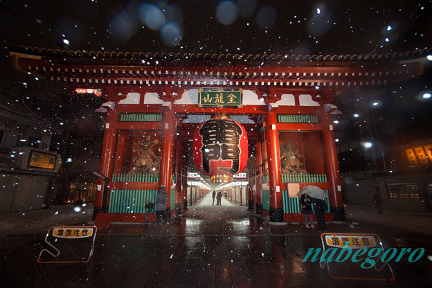 写真: 吹雪の浅草寺