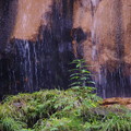 写真: まぼろしの滝5