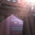 写真: Harvard University Museum　入口