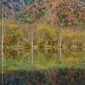 湖面に映る秋景色