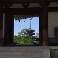Photos: 法隆寺へ
