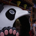 写真: 熊猫の昼