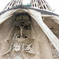 Photos: la Sagrada Família