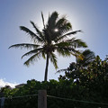 写真: Hawaii2012