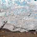 写真: patagonia