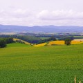 写真: 三愛の丘展望台から広い畑と十勝連峰・・