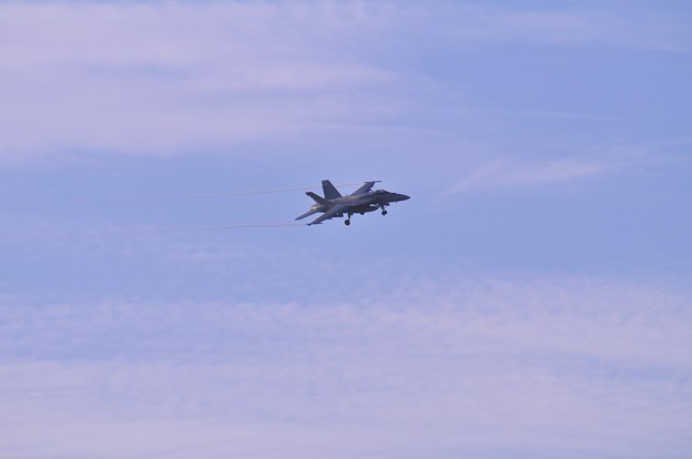 写真: 日も傾きＲＯＹＡＬＭＡＣＥＳ NF-204 F/A-18E・・20120820厚木基地
