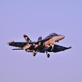 写真: 夕日を浴びてSHADOWHAWKS NF-500 EA-18Gランディング・・20120820厚木基地?