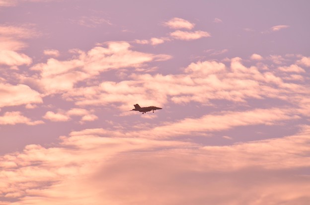 写真: 夕日の厚木基地周辺から帰還する艦載機?
