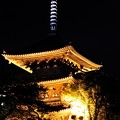 古都京都を思わせ金色に光る横浜三渓園の三重の塔・・20120928