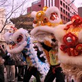 写真: 春節パレードフィナーレは踊り狂う中国獅子舞 20130217