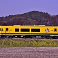 写真: 脇にこっそりと咲く菜の花といすみ鉄道ムーミン列車300形・・20130309