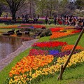 HDR 綺麗な彩りのある池の周り・・昭和記念公園　20130413