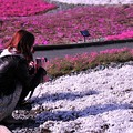 素敵カメラ女子っていいもんだ。。。富士の芝桜 20130429