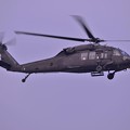 写真: 座間米軍ARMY UH-60Aブラックホーク飛来・・20130501