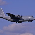 写真: 夕方の厚木基地NAVY KC-130Hハーキュリーズランディング?・・20130503