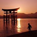 夕日を浴びてこの子もはしゃぐ・・宮島厳島神社鳥居 20130504