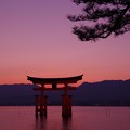 暮れて辺りが暗くそしてまだ残るサンセット・・宮島厳島神社の鳥居20130504