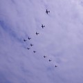 11機のT-7による編隊飛行。。世界遺産登録を願って富士山風