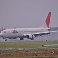 東京からの到着便JAL B737-800・・20130915