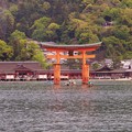 写真: 広島宮島の鳥居と厳島神社へ・・・20130504