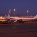 宮崎空港へ早朝の羽田空港。。政府専用機2機確保・・