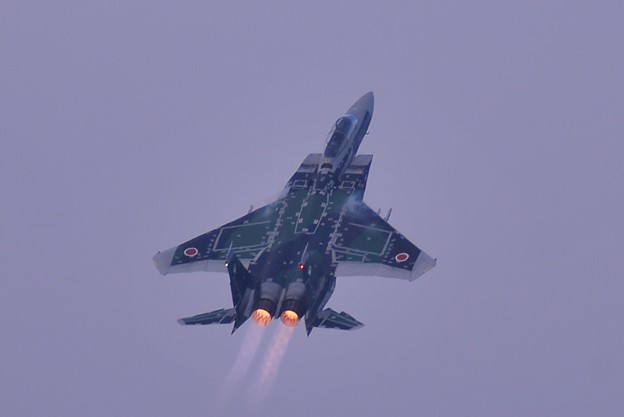 写真: 朝早くから始まったオープニング飛行 教導隊アグレッサー091 F-15イーグル?