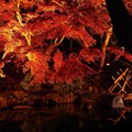 長谷寺のお池の紅葉ライトアップ・・20131207